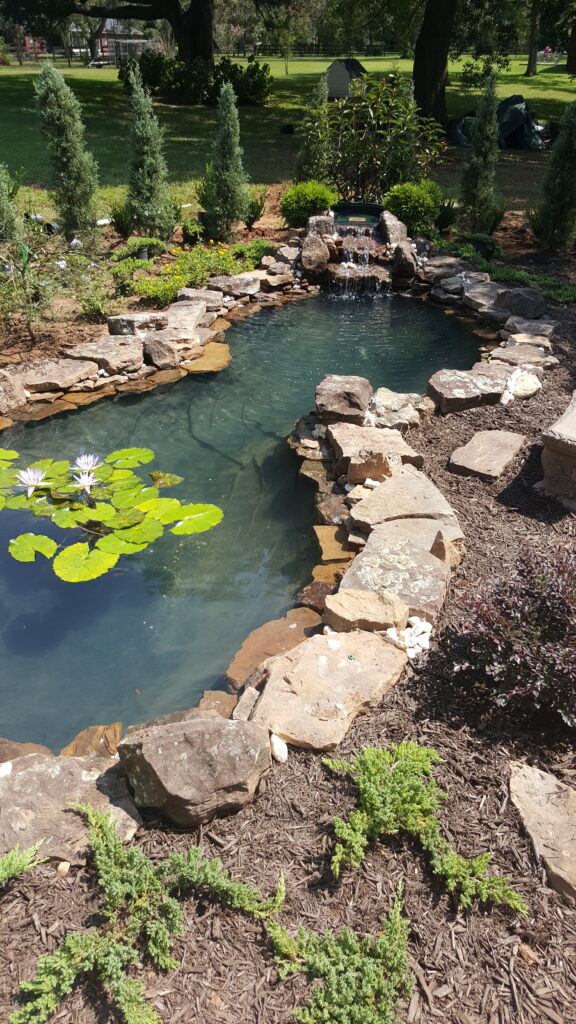 A pond with water lilies and rocks in the middle of it.