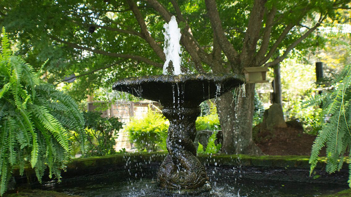 A fountain in the middle of a garden.