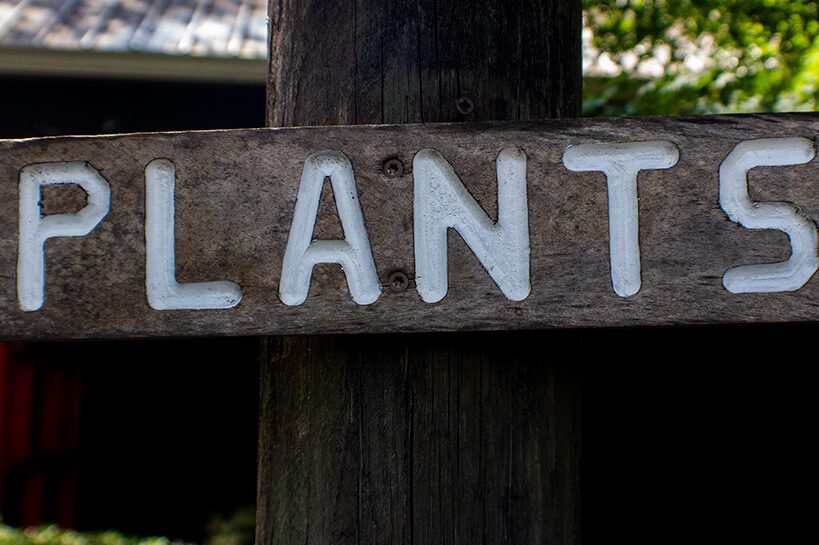 A wooden sign that says plants on it.