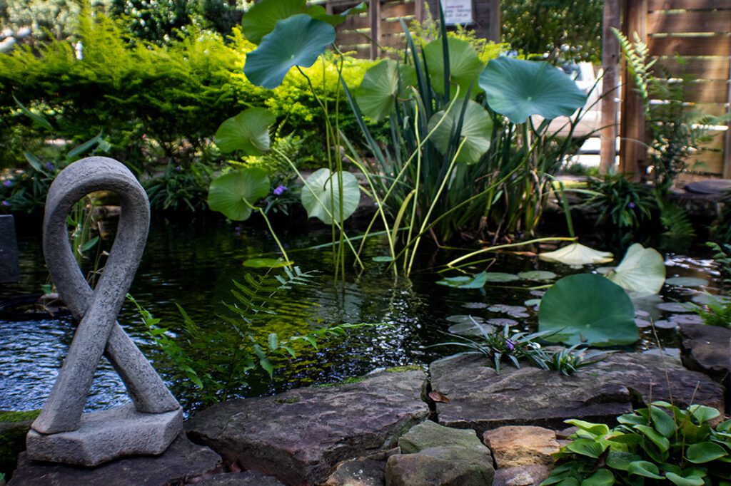 A pond with water lilies and rocks in the foreground.