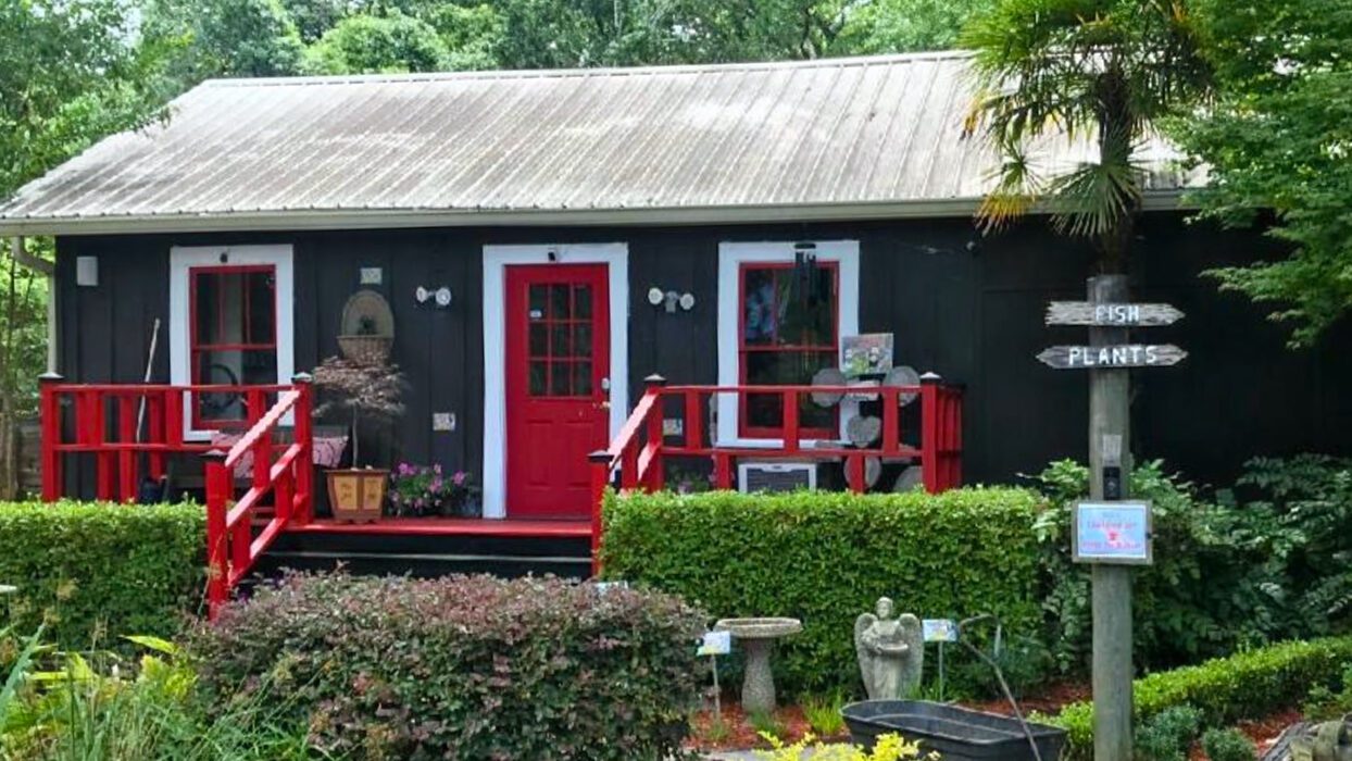 A black and red house with bushes around it