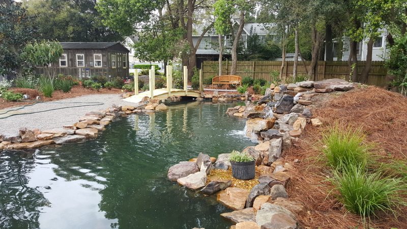 A pond with rocks and plants in it