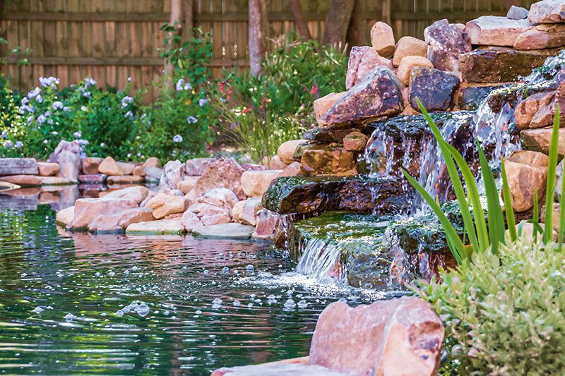 A pond with rocks and plants in the background.