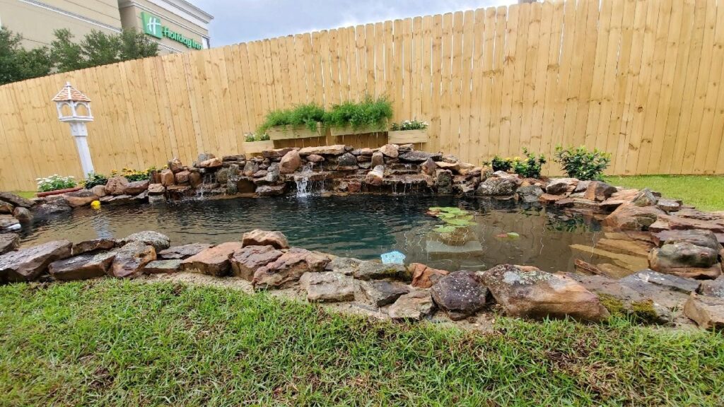 A pond with rocks and plants in it