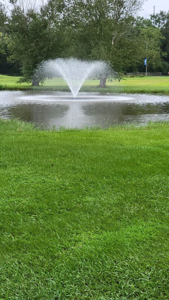 A water fountain that is spraying out of the ground.