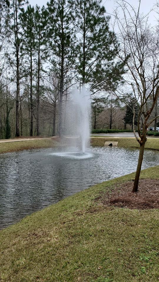 A fountain in the middle of a pond.