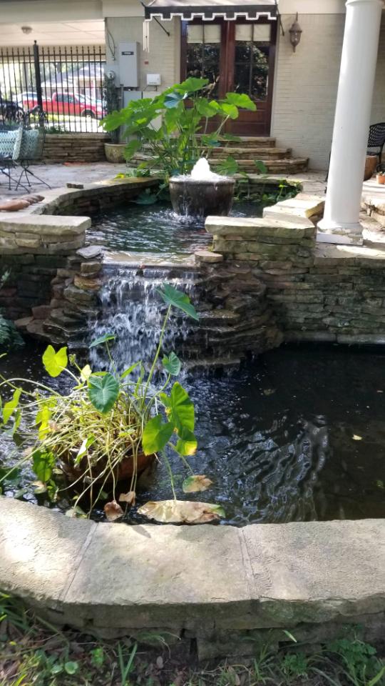 A pond with water flowing over it and plants.