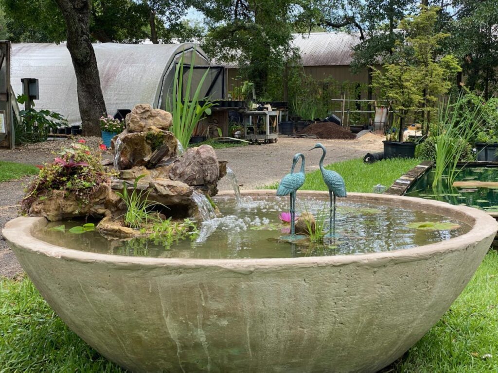 A bowl with two birds in it and water