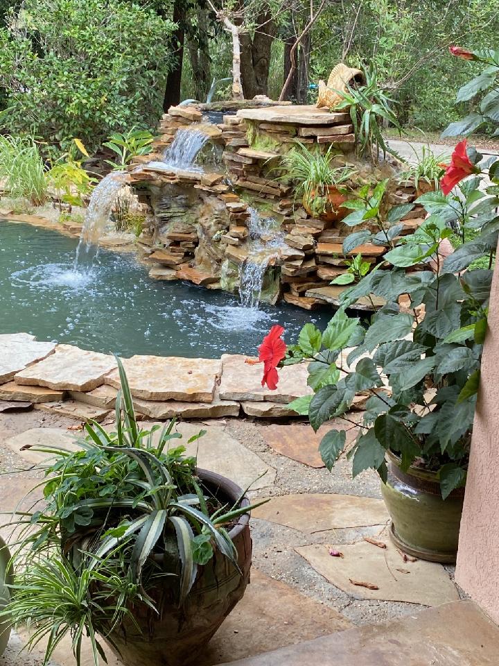 A garden with water features and plants in pots.