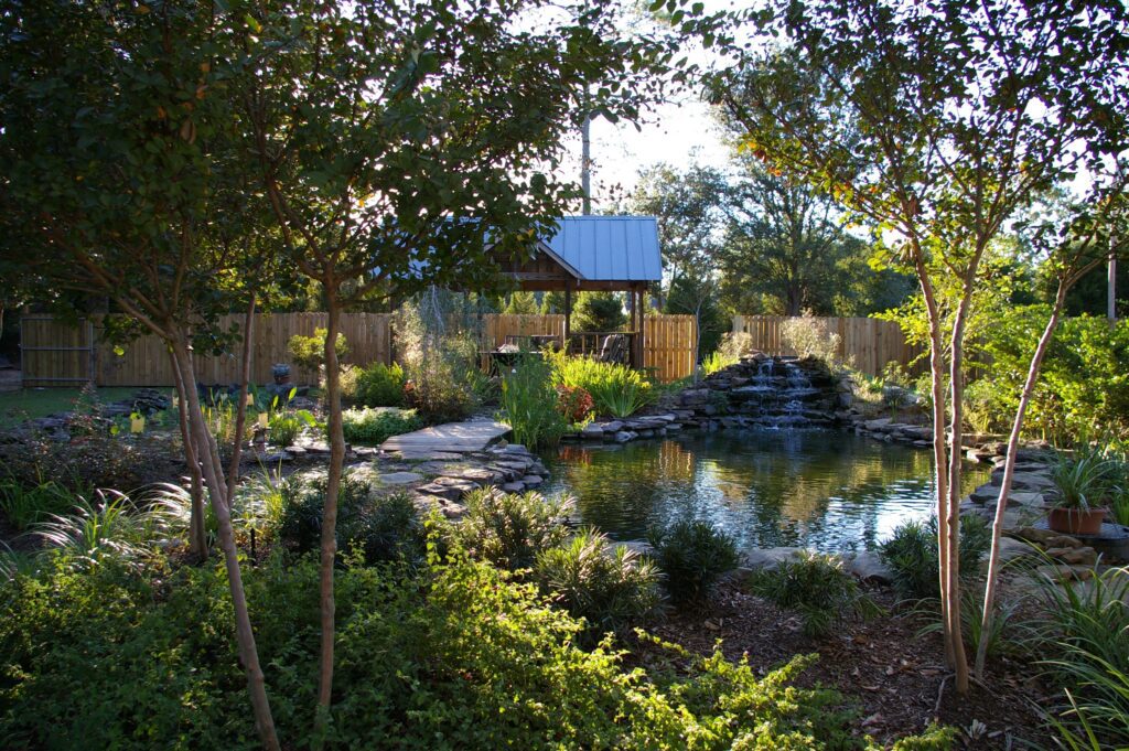 A pond with trees and bushes around it