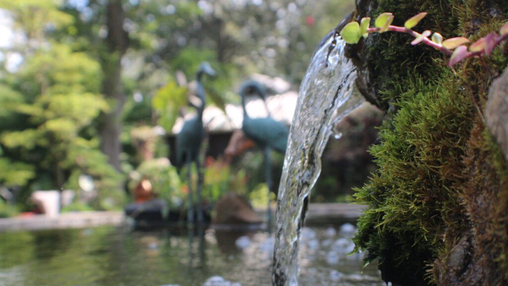 A waterfall in the middle of a garden.