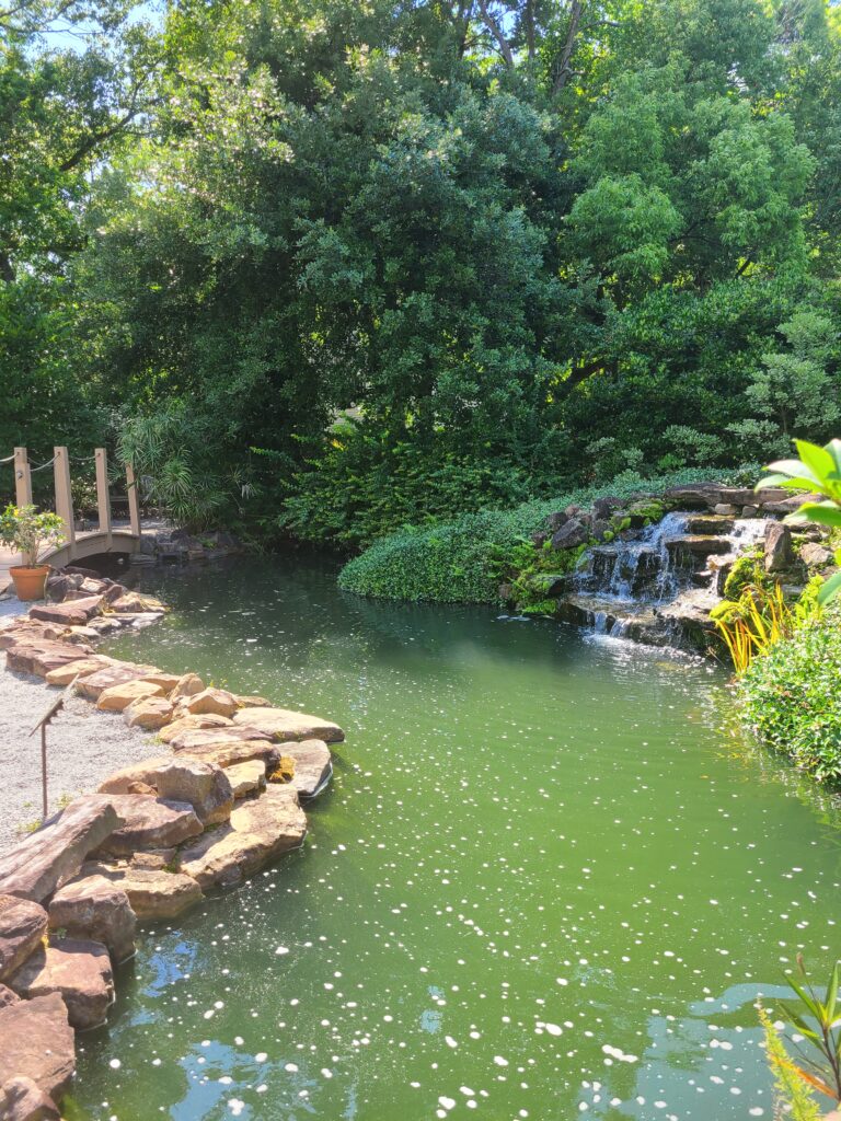 A pond with rocks and water running down it.